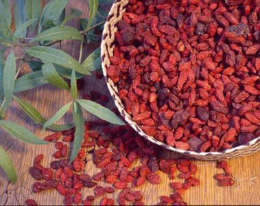 Heirloom Nightshade Varieties Image